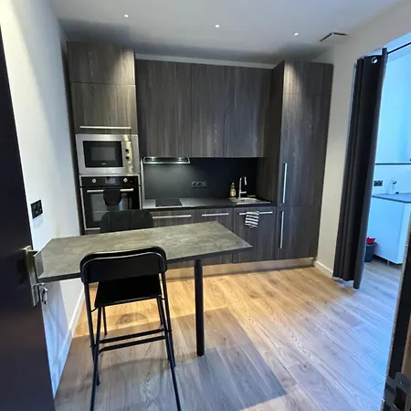 Lägenhet Hyper Centre De Grenoble